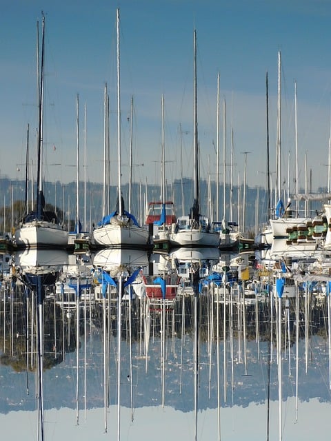 marina dhow