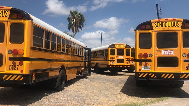 mini bus rent