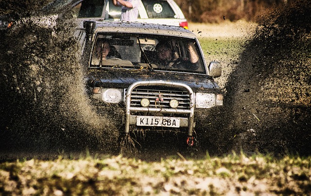 Off-Road Dune