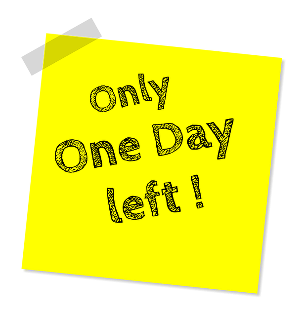 one day tour