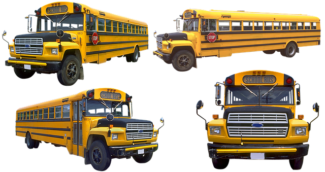 party bus