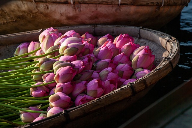 Experience Dubai’s Uniqueness: Customizable Pink Limo Event Hire