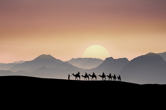 premium desert