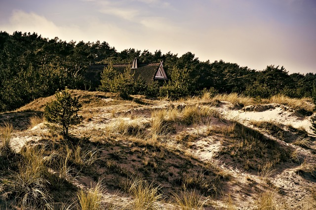 sand dune buggy