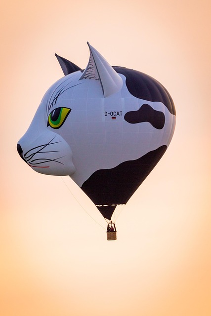 Sunrise Hot Air Balloon