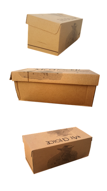 tour package