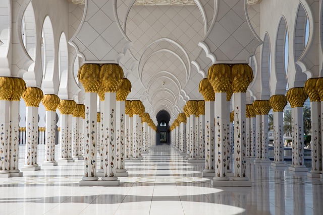 transfer transfer abu dhabi to dubai