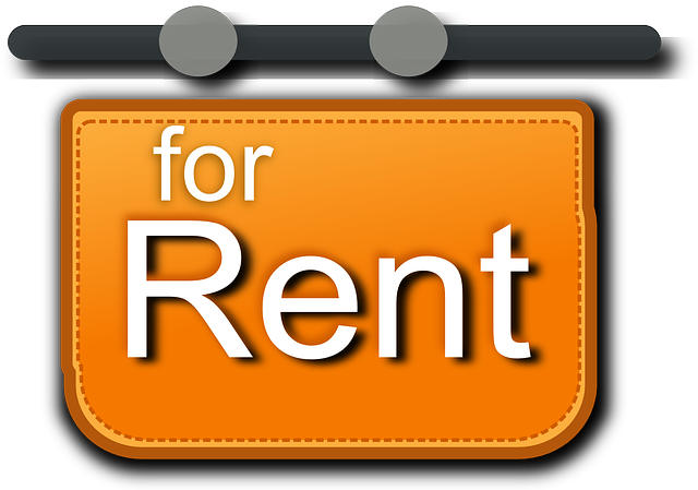 yacht rentals