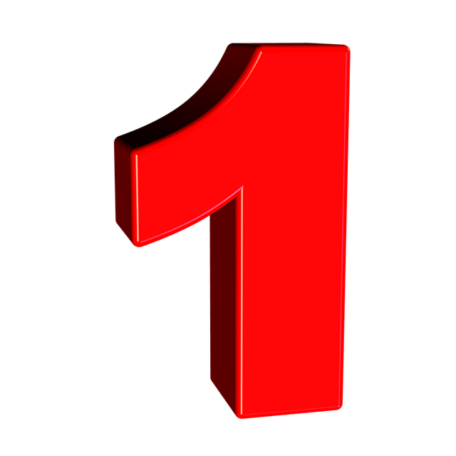 1 day tour