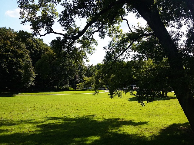 1-day-tour-640x480-8722441.jpeg