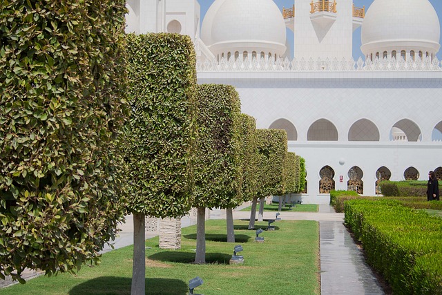 abu dhabi