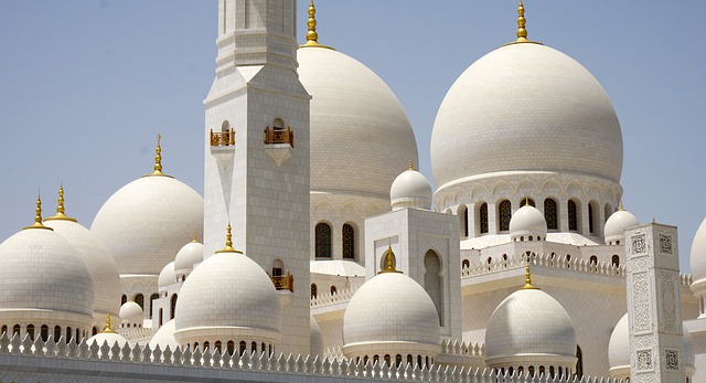 Dubai to Abu Dhabi Tour: Cultural Contrast for Business Travelers