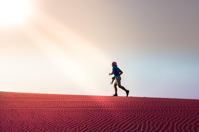 Discovering Heritage: Personalized Dubai-Abu Dhabi Cultural City Tours
