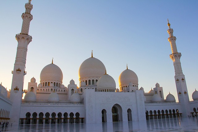 abu dhabi half day tour