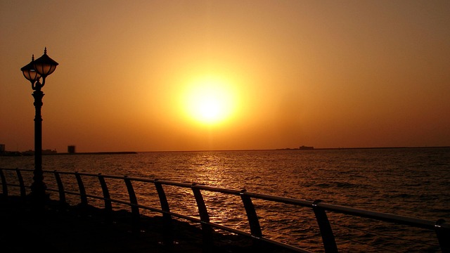 Stress-Free Dubai to Abu Dhabi Half-Day Tour Planning Guide