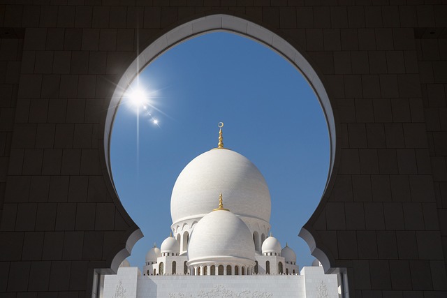 abu dhabi half day tour