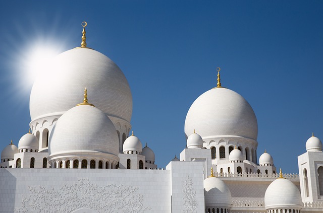 abu dhabi half day tour