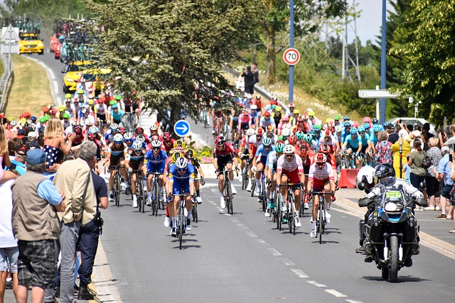 abu dhabi half day tour