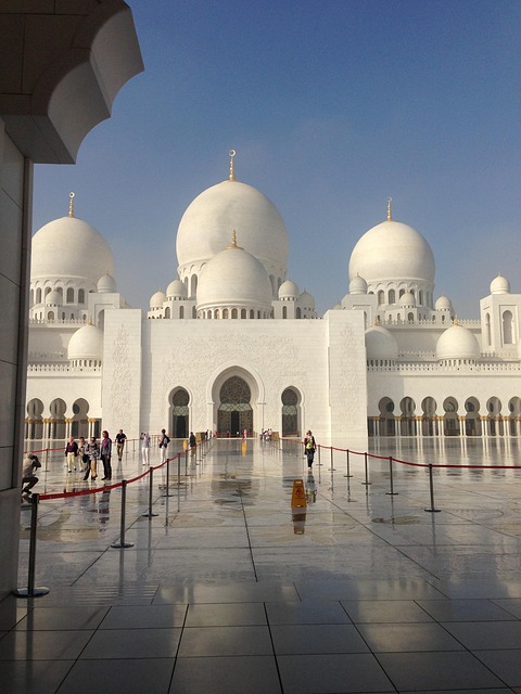 abu dhabi tour half day
