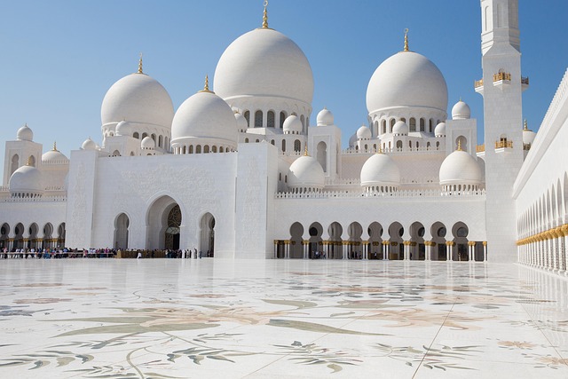 abu dhabi tour half day