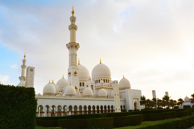 abu dhabi tour half day