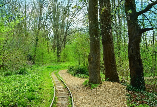 Adventure Park