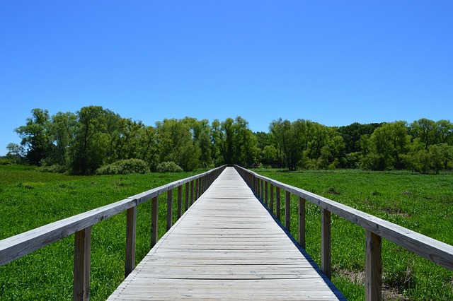adventure-park-640x480-68832467.jpeg