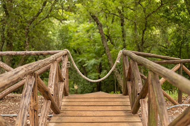 Adventure Park