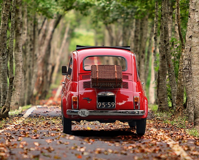 Airport Car