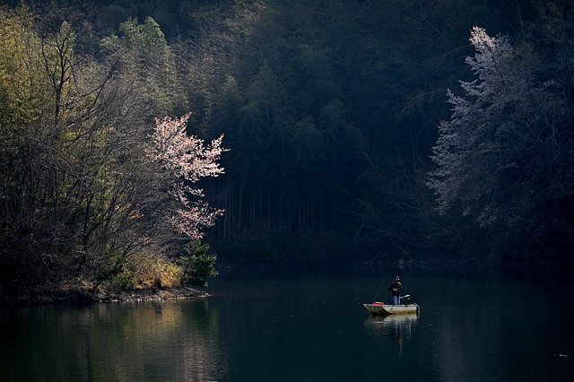 any boat