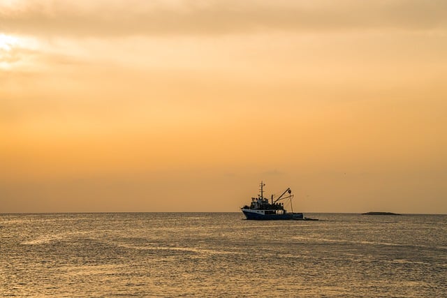 any boat