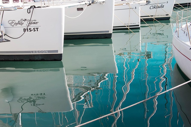 Book Any Boat: Ultimate Guide to Catamaran Day Cruise Dubai