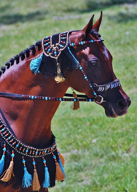 Arabian Ranches