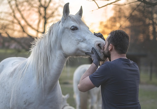 Arabian Ranches