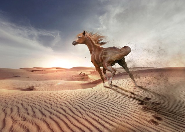 Dubai’s Off-Road Adventure: Dune Buggy Tours with Pickup Service in Arabian Ranches