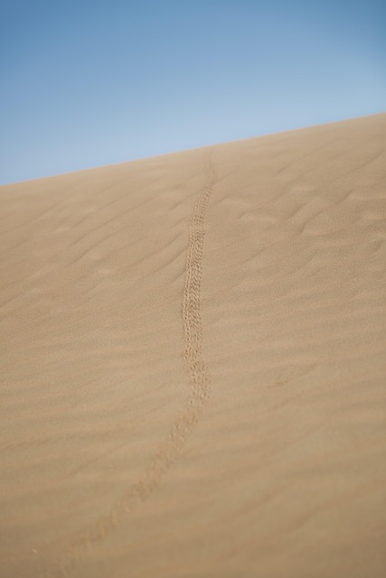 arabian-ranches-640x480-76133099.jpeg