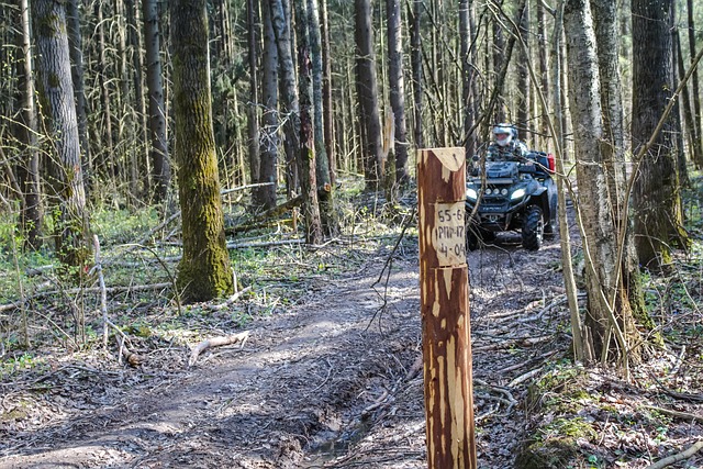 atv tour