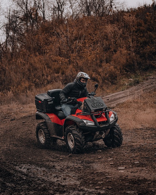 atv tour