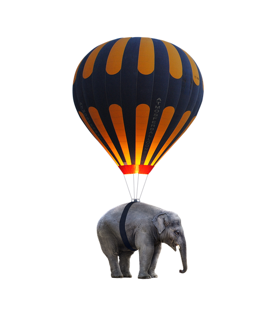 balloon trip