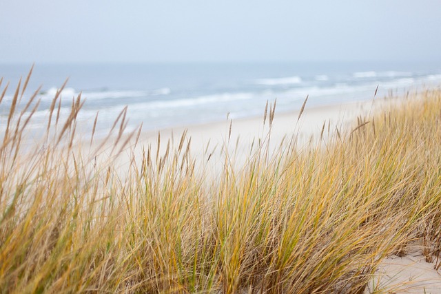 Beach Limo Rental
