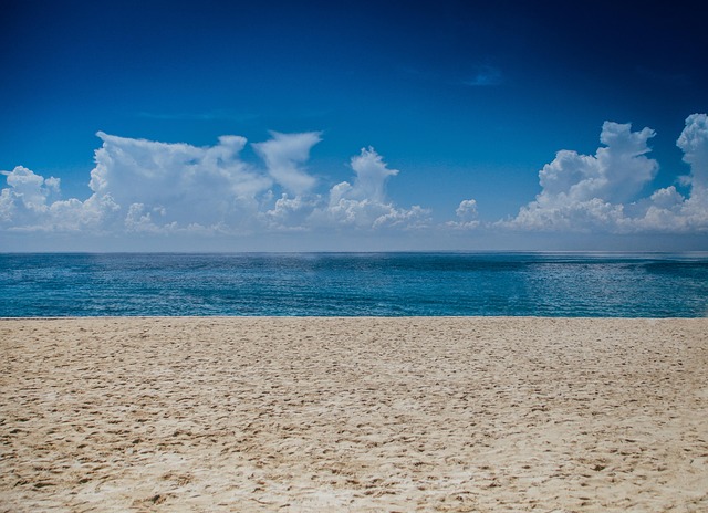 Beach Limo Rental