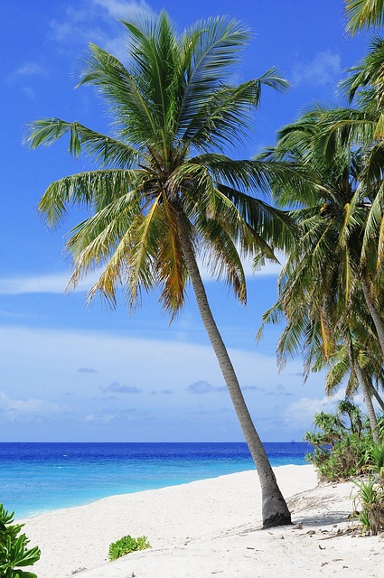 Beach Limo Rental