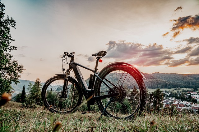 bike desert