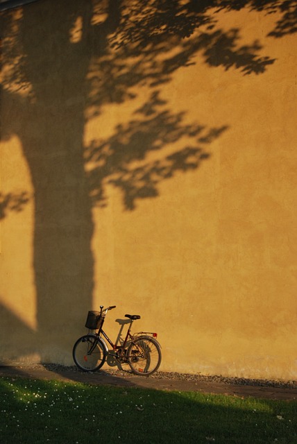 bike desert