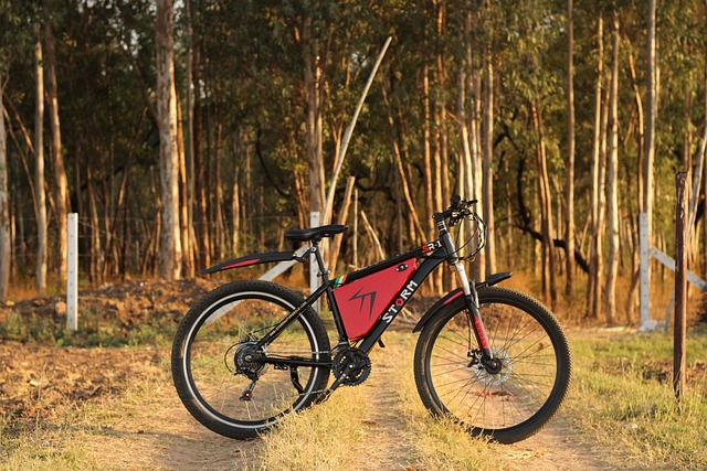 bike desert