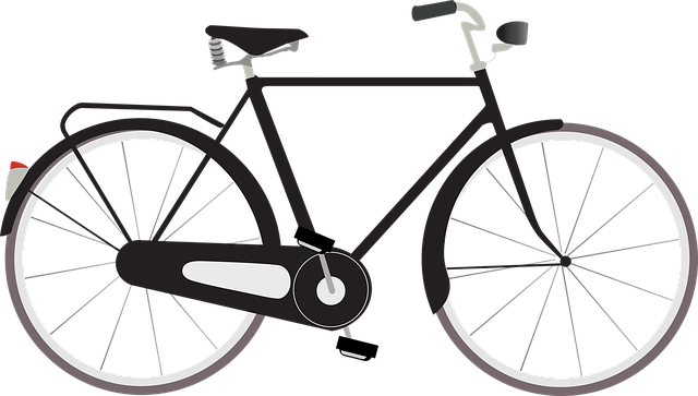 bike desert