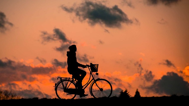 bike desert
