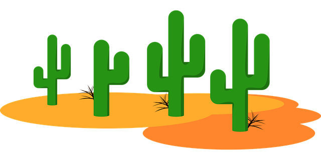 biking-desert-640x480-26247690.png