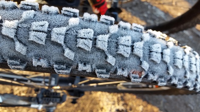 biking desert