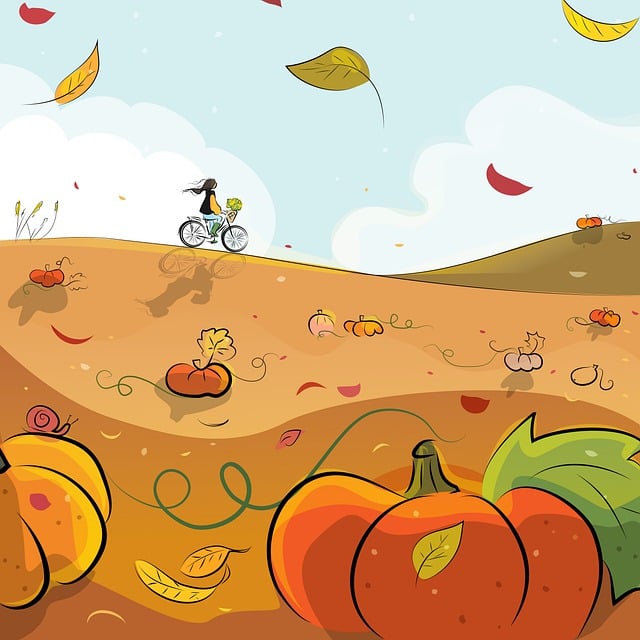 biking desert